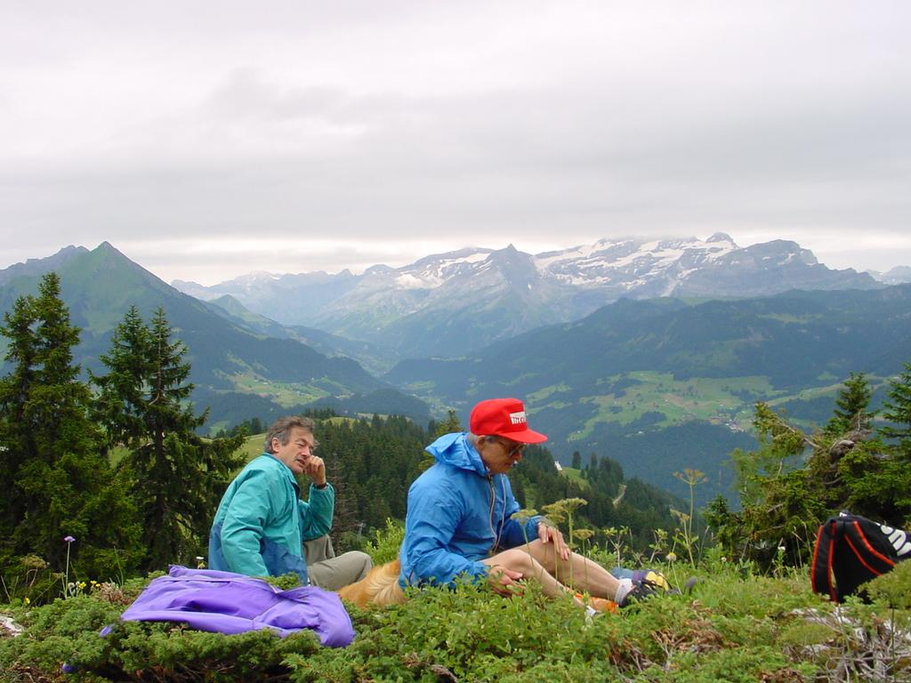 {Clic pour voir plus grand}