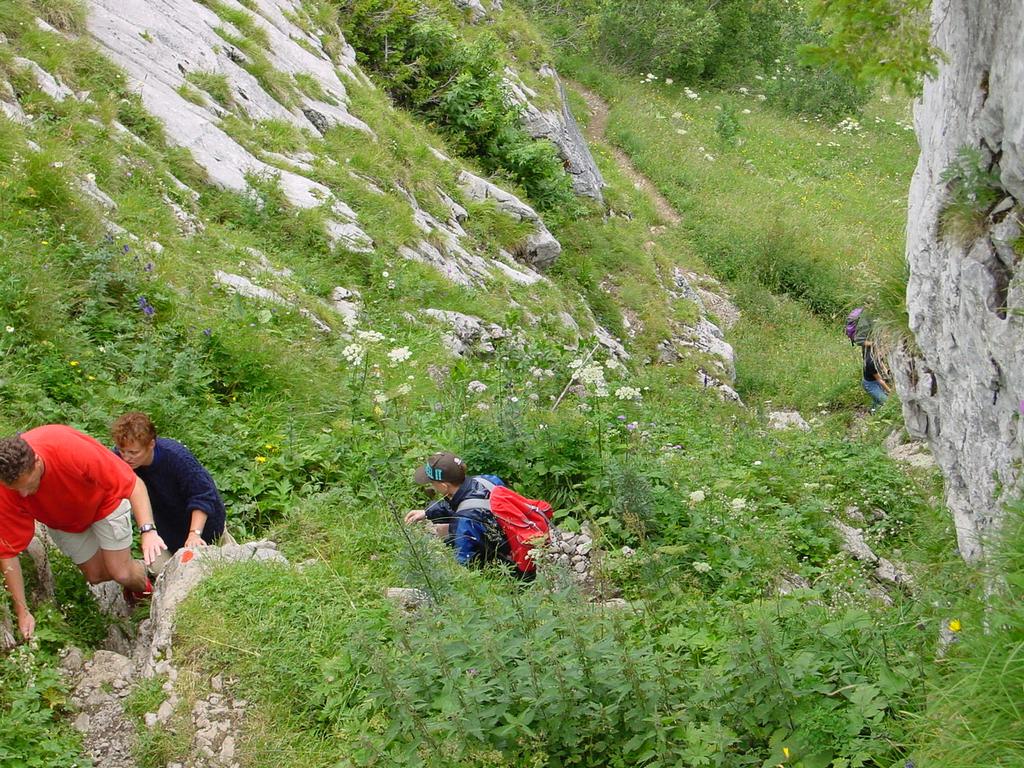 {Clic pour voir plus grand}