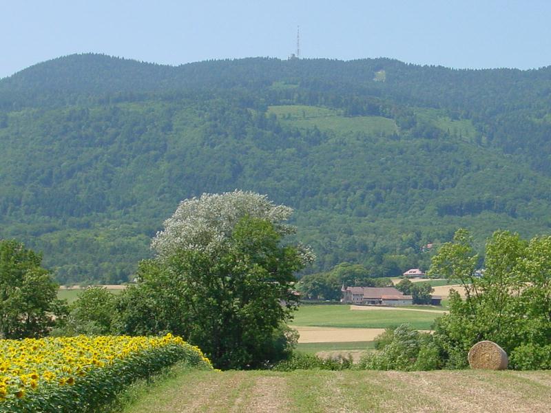 clic ici pour suivante