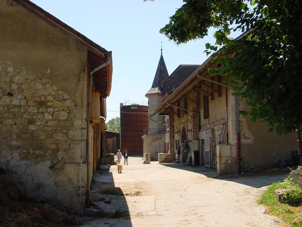 clic ici pour suivante