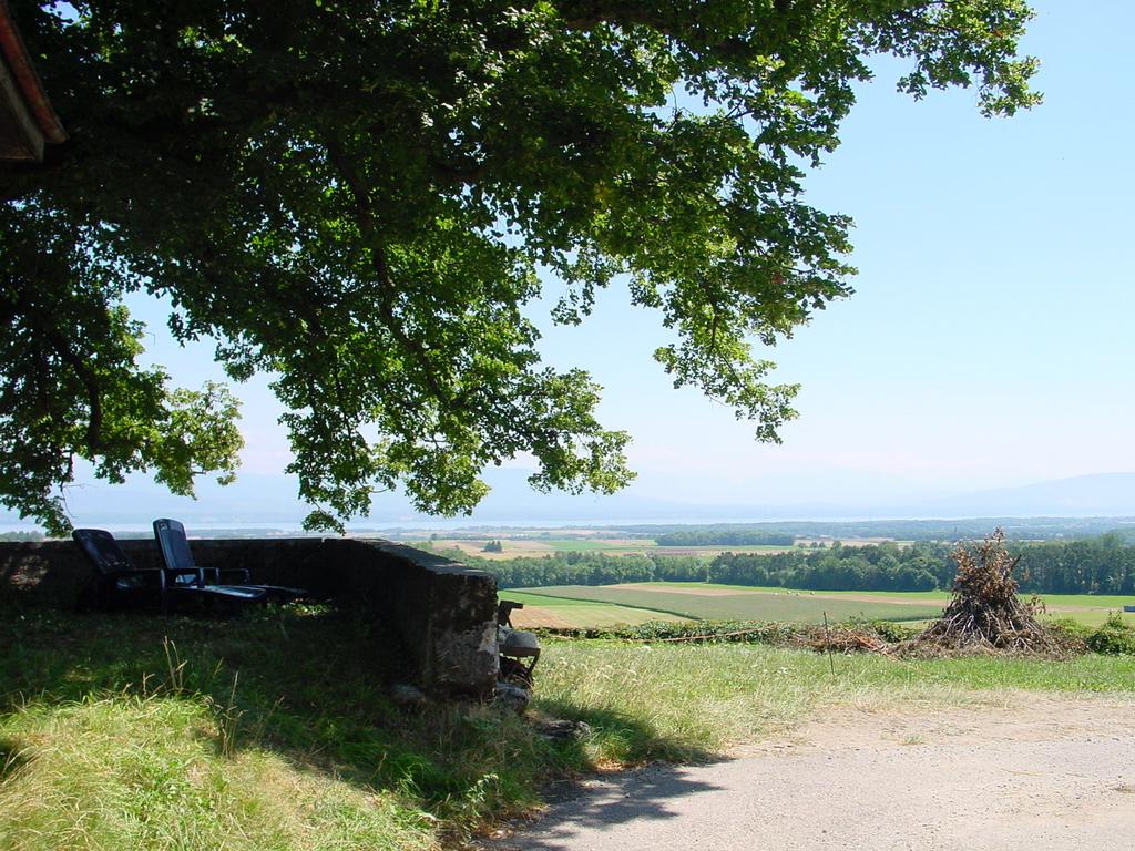 clic ici pour suivante