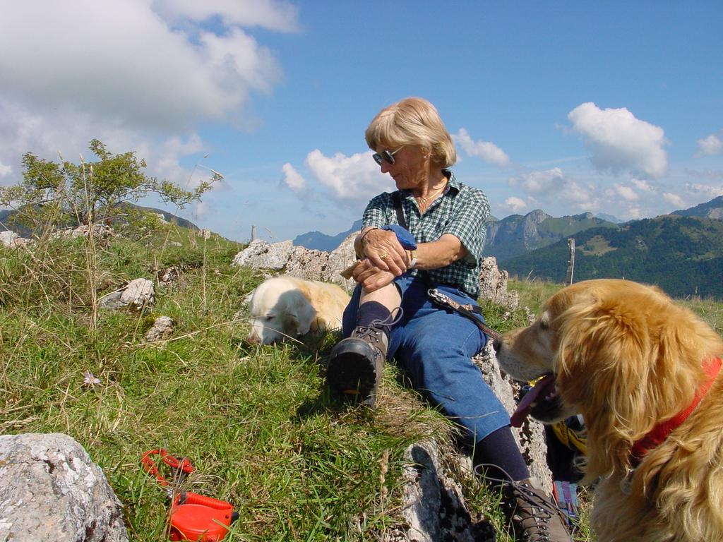 clic ici pour suivante