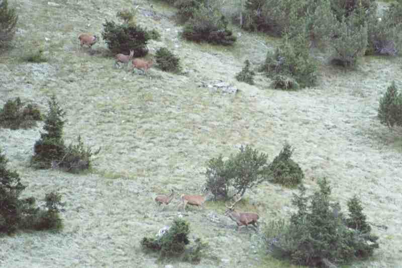 Clic ici pour voir l'image suivante