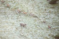 Cliquer pour agrandir l'image (800x533 :  36 KB pixels); 26.11.2002 00:26