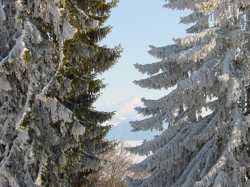 Clic pour voir l'image suivante