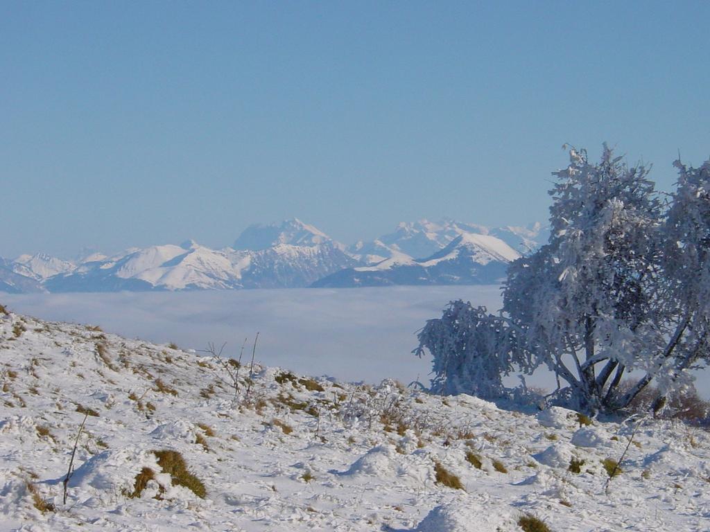 Clic pour voir l'image suivante