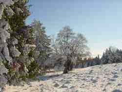 Clic pour agrandir l'�mage (1024x768 pixels; 163 KB)