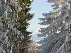 Clic pour agrandir l'�mage (1024x768 pixels; 191 KB)