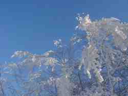 Clic pour agrandir l'�mage (1024x768 pixels; 108 KB)