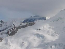 1761.jpg (25012 bytes)