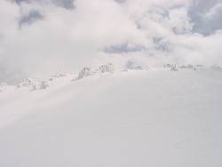 2017.jpg (454381 bytes)