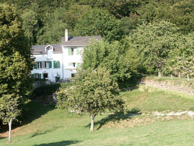 Click to see next picture