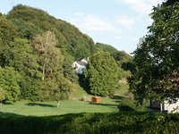 Click to see big picture (667x500 pixels; 135 KB)