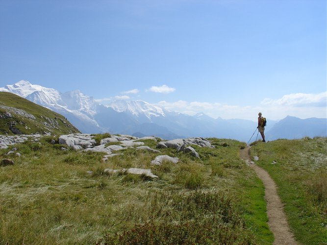 Click to see next picture