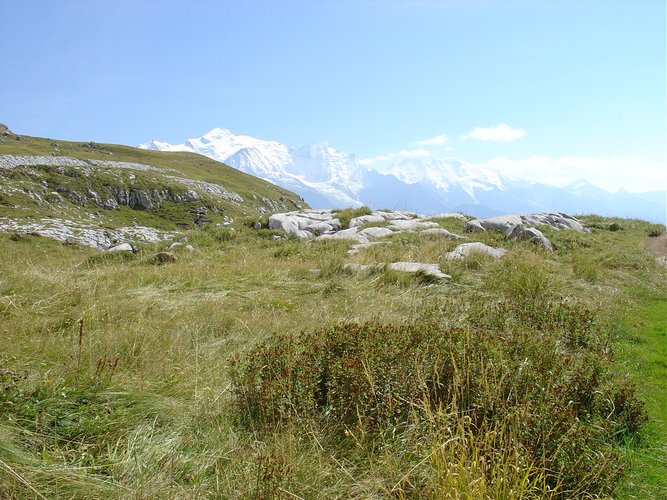 Click to see next picture