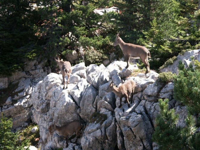 Click to see next picture