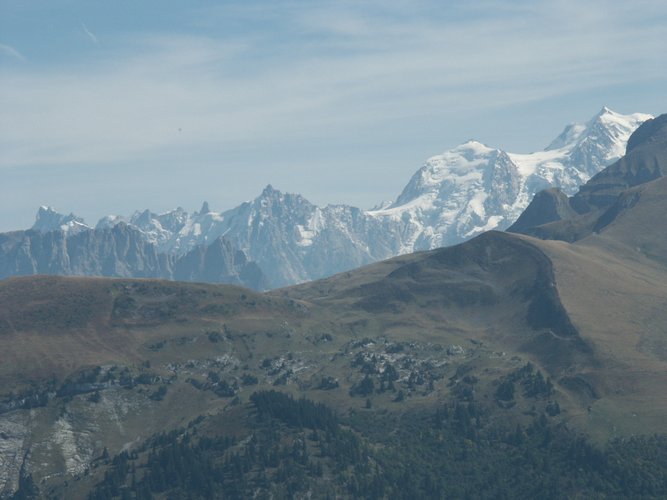 Click to see next picture