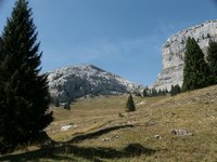 Click to see big picture (667x500 pixels; 95 KB)