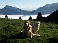 Click to see big picture (673x500 pixels; 78 KB)