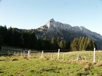 Click to see big picture (667x500 pixels; 101 KB)