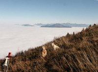 Click to see big picture (680x500 pixels; 88 KB)