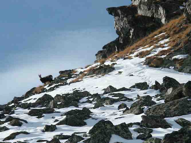 Click to see next picture