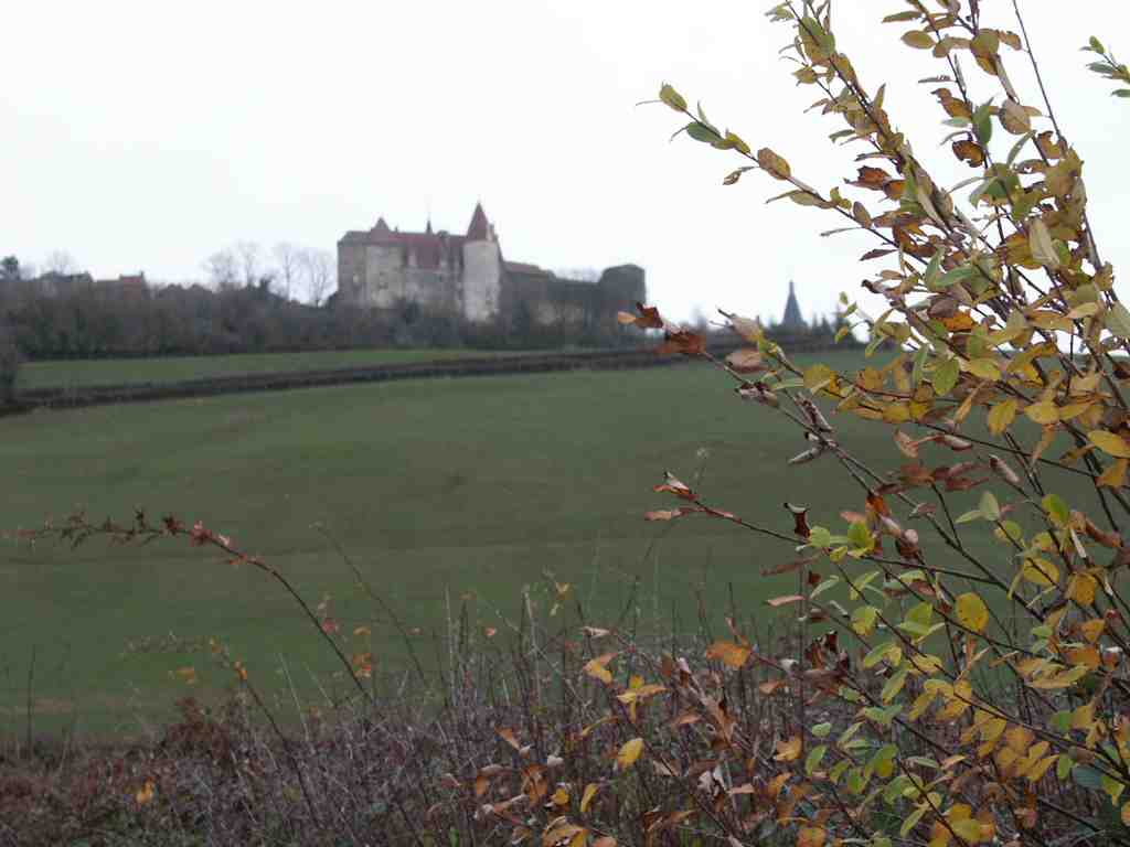 Cliquer pour voir l'image suivante