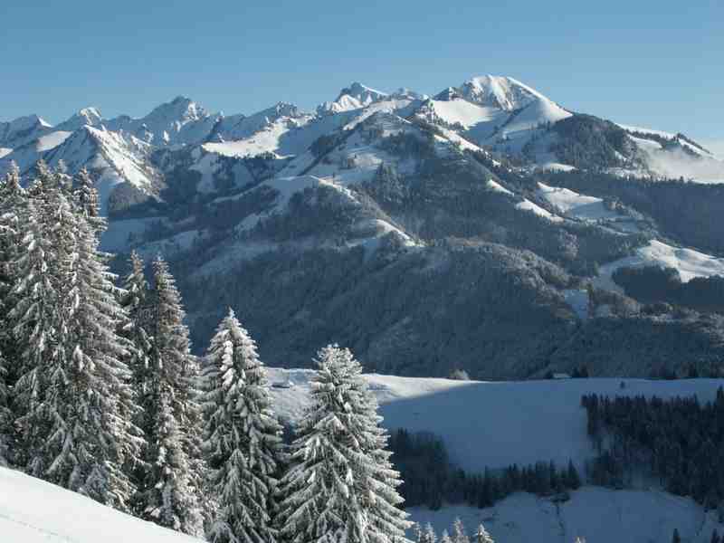 Click to see next picture