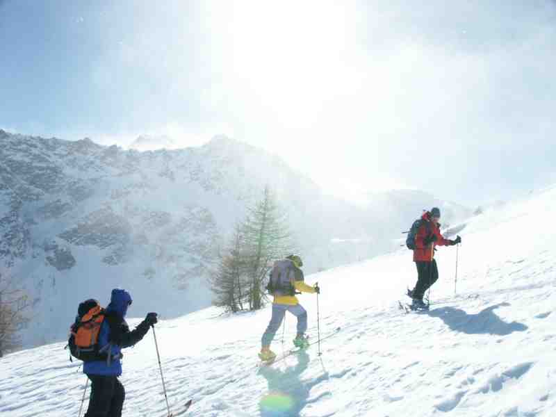 Clic ici pour voir l'image suivante