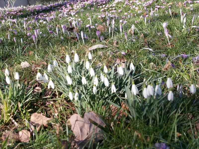 Clic ici pour voir l'image suivante