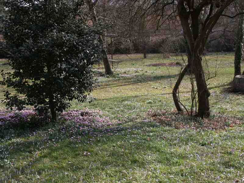 Clic ici pour voir l'image suivante