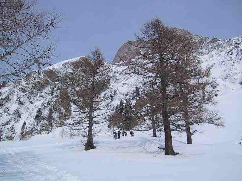 Clic ici pour voir l'image suivante