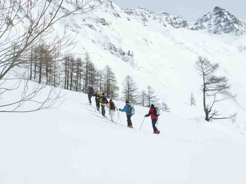 Clic ici pour voir l'image suivante