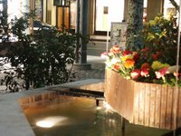 Cliquer pour agrandir l'image (800x600 :  36 KB pixels); 07.04.2004 19:37