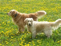 Click to see big picture (1024x768 pixels; 198 KB)