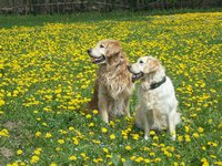 Click to see big picture (1024x768 pixels; 231 KB)