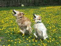 Click to see big picture (1024x768 pixels; 221 KB)