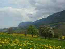 Cliquer pour agrandir l'image (800x600 :  31 KB pixels); 02.05.2004 13:02