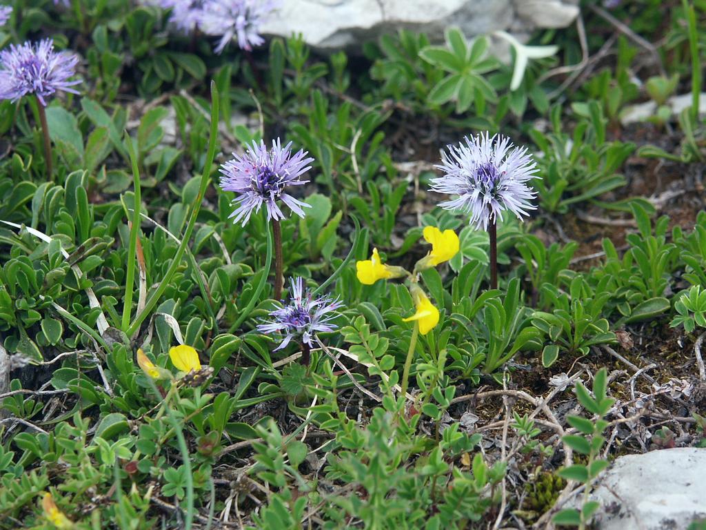 Cliquer pour voir l'image suivante