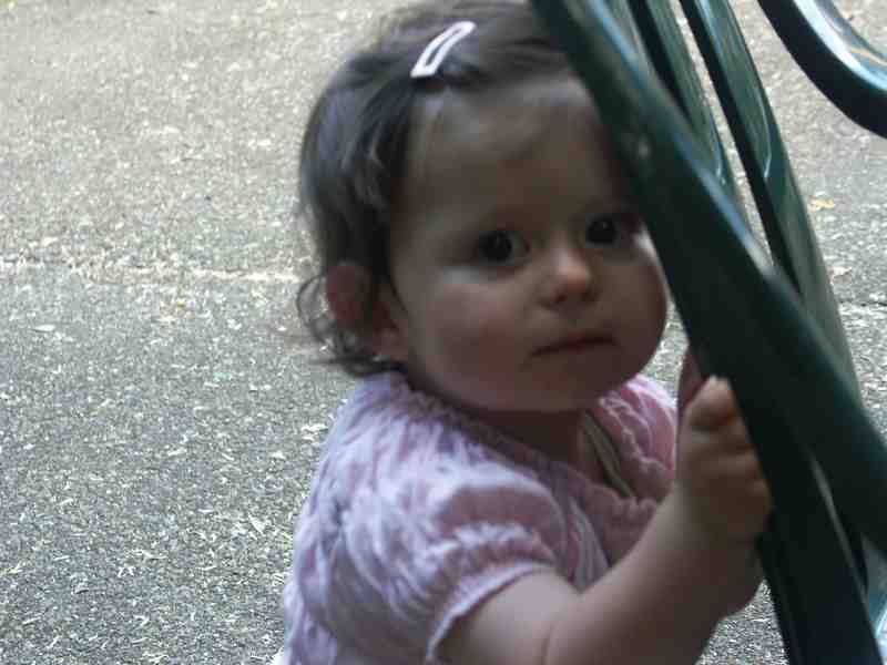 Clic ici pour voir l'image suivante