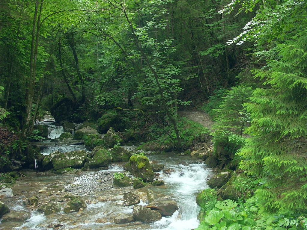 Clic pour l'image suivante