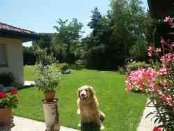 Cliquer pour agrandir l'image (2560x1920 pixels; 14400 KB)