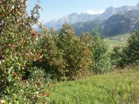 Cliquer pour agrandir l'image (2560x1920 pixels; 14400 KB)