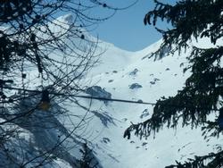 Cliquer pour agrandir l'image (1280x960 pixels; 3600 KB)