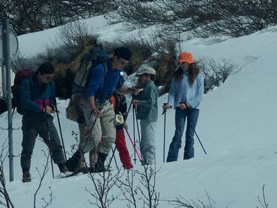 Cliquer pour agrandir l'image (507x380 pixels; 55 KB)