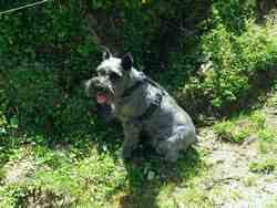 Cliquer pour agrandir l'image (1600x1200 pixels; 5625 KB)