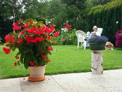 Cliquer pour agrandir l'image (1600x1200 pixels; 5625 KB)