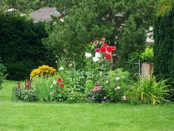 Cliquer pour agrandir l'image (1600x1200 pixels; 5625 KB)