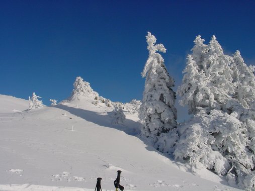 Clic ici pour voir l'image suivante