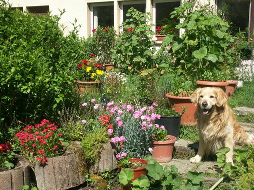 Clic ici pour voir l'image suivante